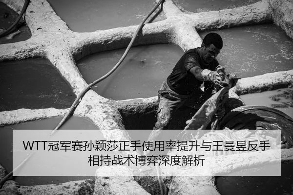 WTT冠军赛孙颖莎正手使用率提升与王曼昱反手相持战术博弈深度解析