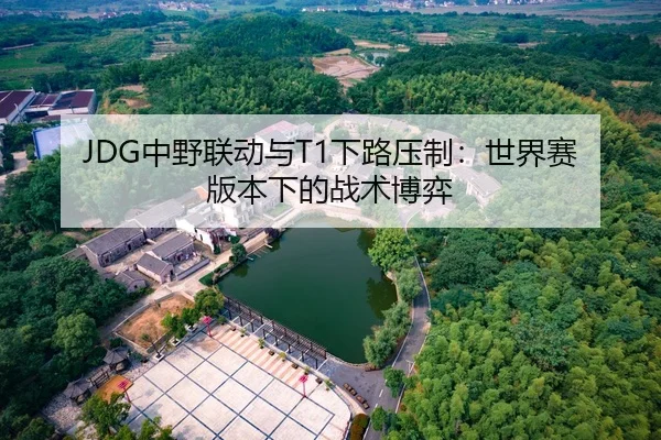 JDG中野联动与T1下路压制：世界赛版本下的战术博弈