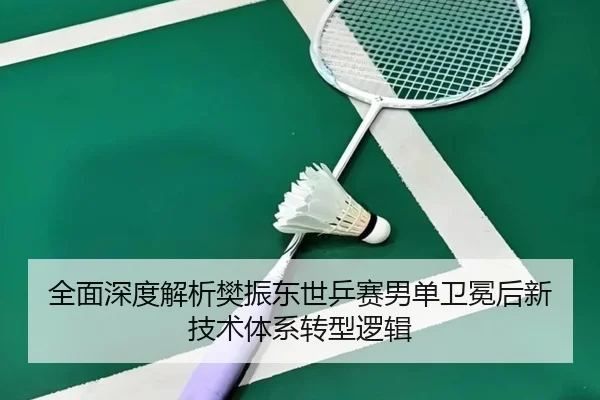 quan-mian-shen-du-jie-xi-fan-zhen-dong-shi-ping-sai-nan-dan-wei-mian-hou-xin-ji-shu-ti-xi-zhuan-xing-luo-ji-3-950.jpg