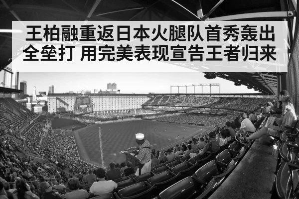 baseball stadium crowd
