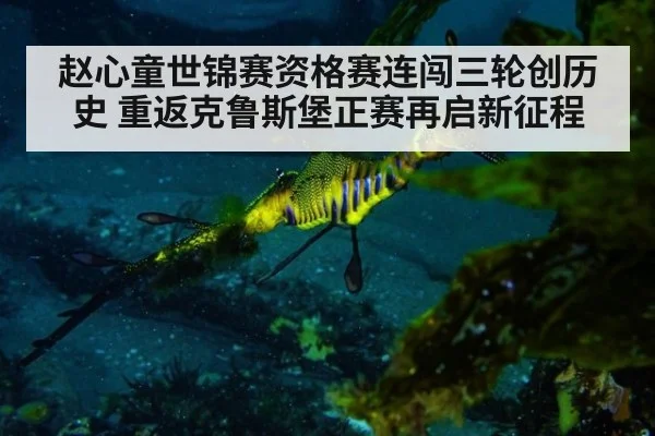 赵心童世锦赛资格赛连闯三轮创历史 重返克鲁斯堡正赛再启新征程