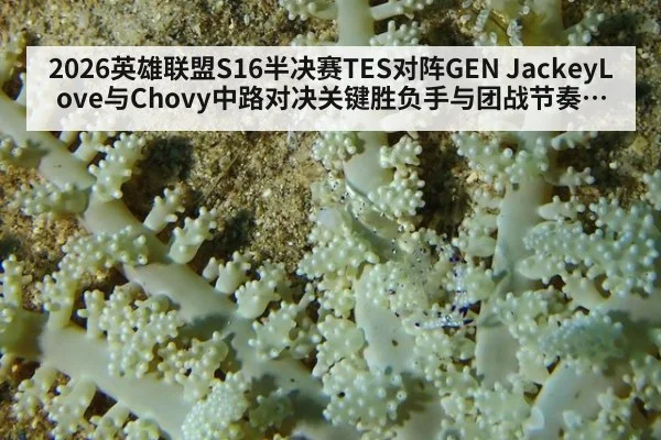 2026英雄联盟S16半决赛TES对阵GEN JackeyLove与Chovy中路对决关键胜负手与团战节奏解析